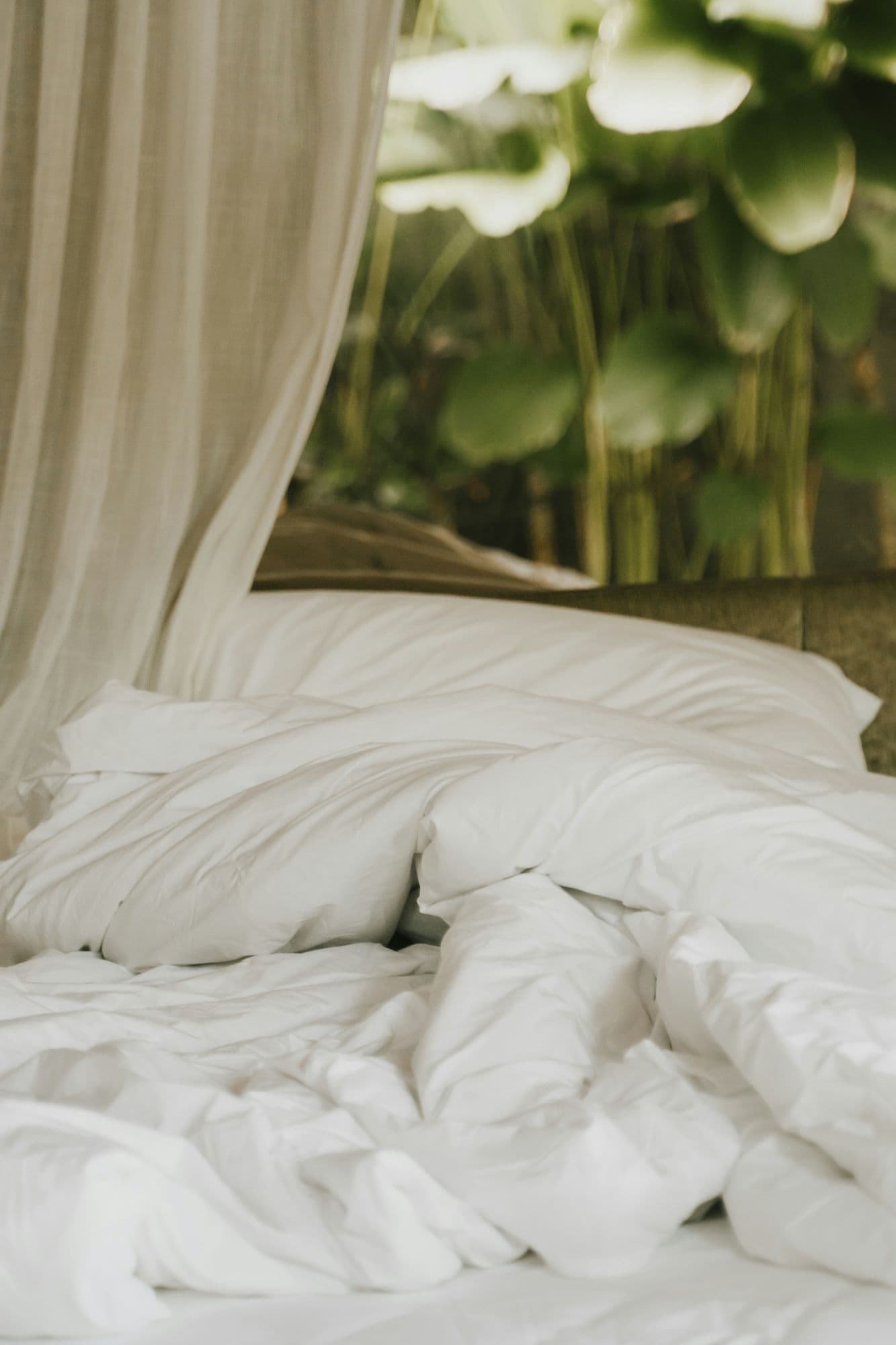Premium Linens